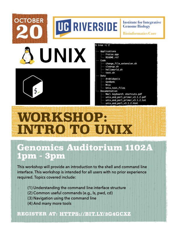 Workshop - Intro to Unix